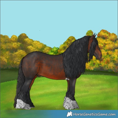 Horse Color:Brown Tobiano 