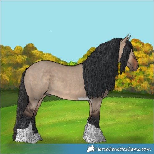Horse Color:Unknown 