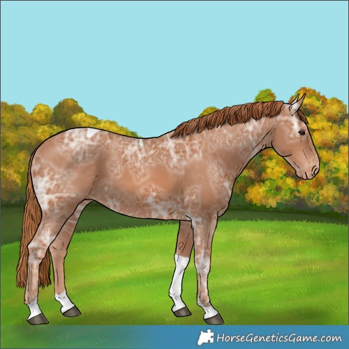 Horse Color:Chestnut Ice Tobiano Varnish 