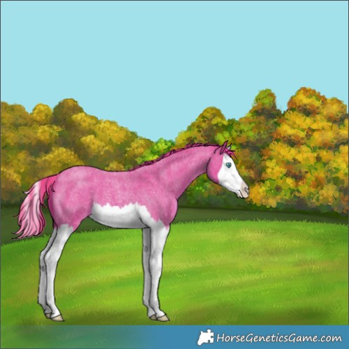 Horse Color:Watercolor Red Roan Splash