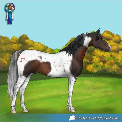 Horse Color:Brown Tobiano