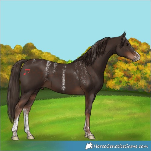 Horse Color:Powder White Liver Chestnut