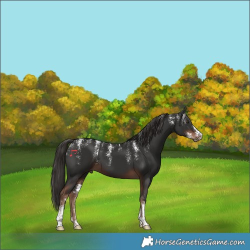 Horse Color:Powder White Liver Chestnut