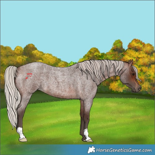 Horse Color:Silver Brown Roan 