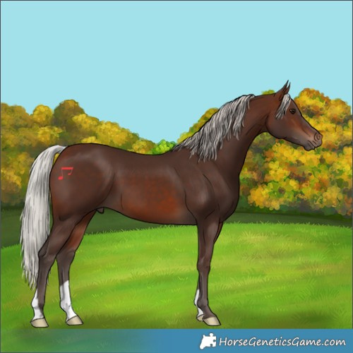 Horse Color:Silver Brown 