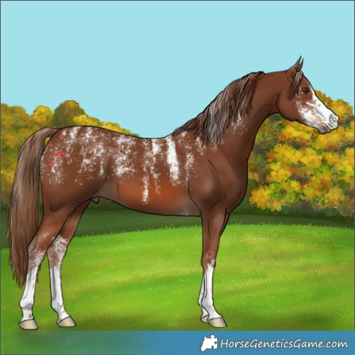 Horse Color:Powder White Chestnut 