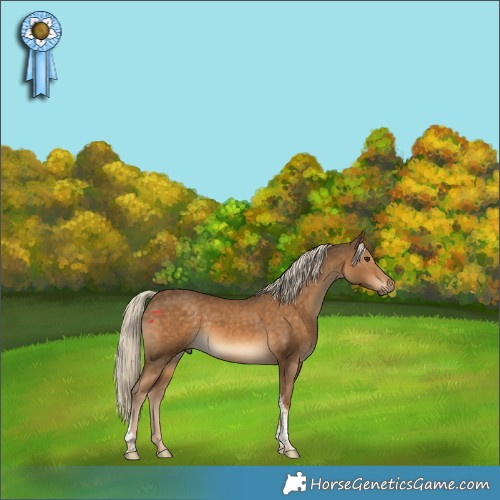 Horse Color:Chocolate Palomino Tobiano