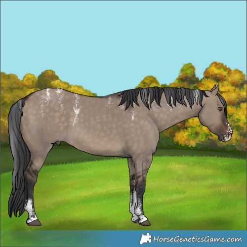 Horse Color:Powder White Brown Dun 