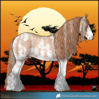 Horse Color:Gold Champagne Sabino Varnish 
