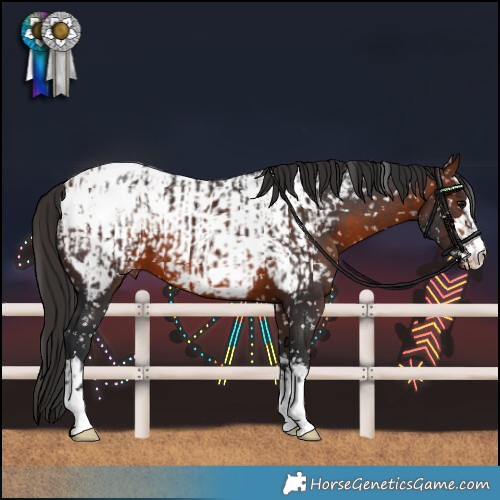 Horse Color:Bay Snowflake Varnish  and Brown Snowcap 
