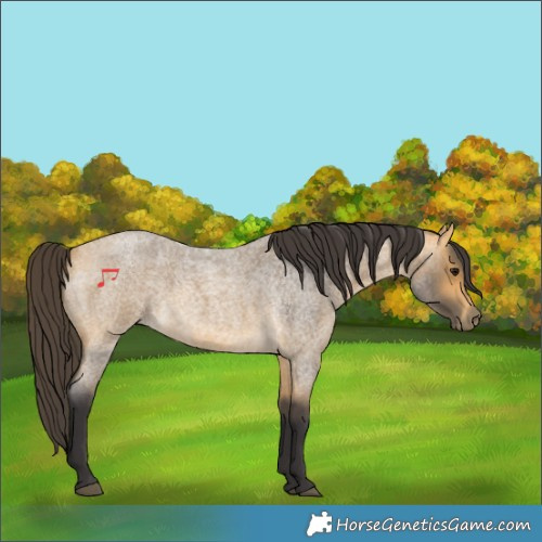 Horse Color:Buckskin Roan 