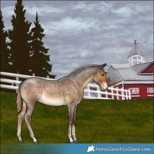 Horse Color:Chocolate Palomino Roan 