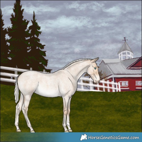 Horse Color:Silver Smoky Creme Roan