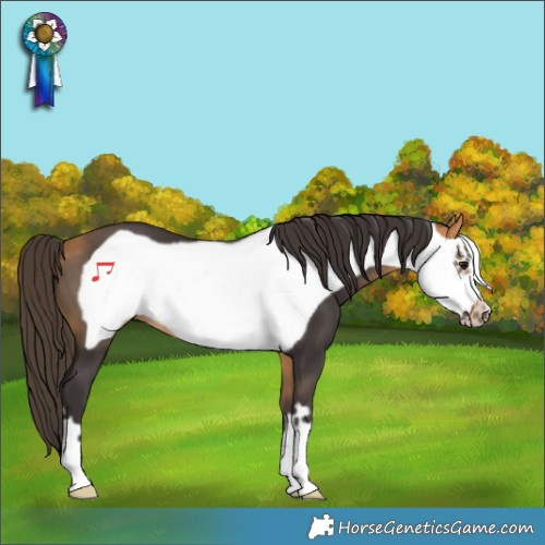 Horse Color:Buckskin Frame