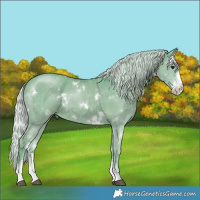 Horse Color:Watercolor White Spotted Silver Smoky Black Sabino