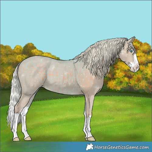 Horse Color:Watercolor Silver Black Splash