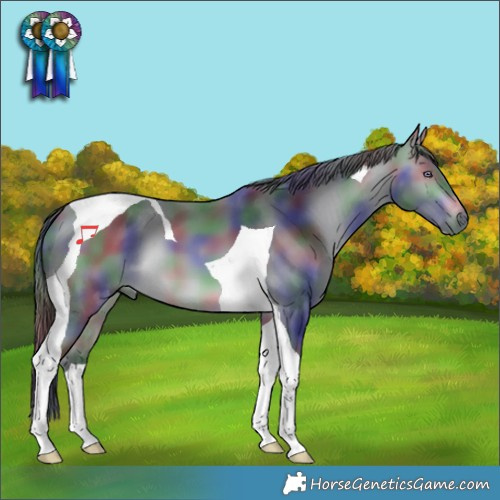 Horse Color:Nacre Brown Chinchilla Tobiano 