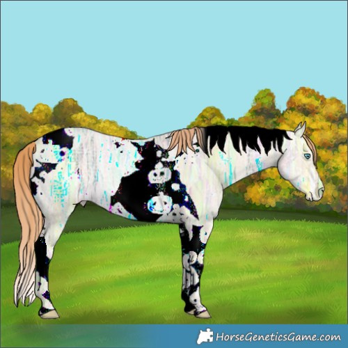Horse Color:Gold Champagne Ice Dun Tobiano Rabicano