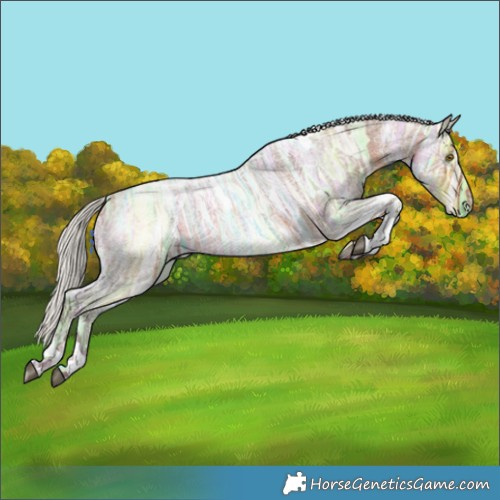 Horse Color:Silver Bay Ice Roan Tobiano