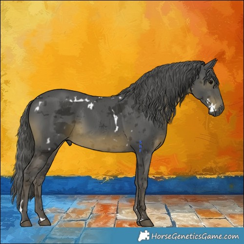 Horse Color:White Spotted Black Merle