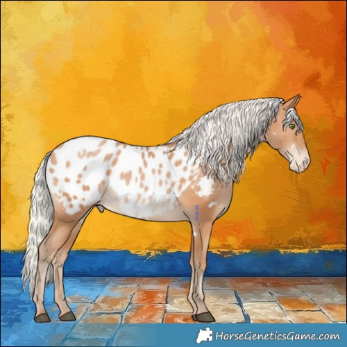 Horse Color:White Spotted Silver Brown Pearl Appaloosa