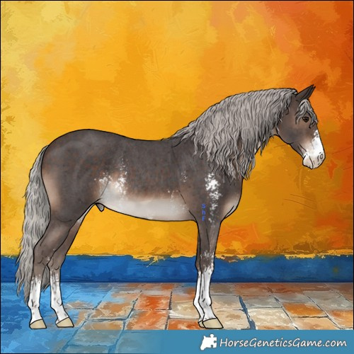 Horse Color:Silver Brown Sabino Rabicano 