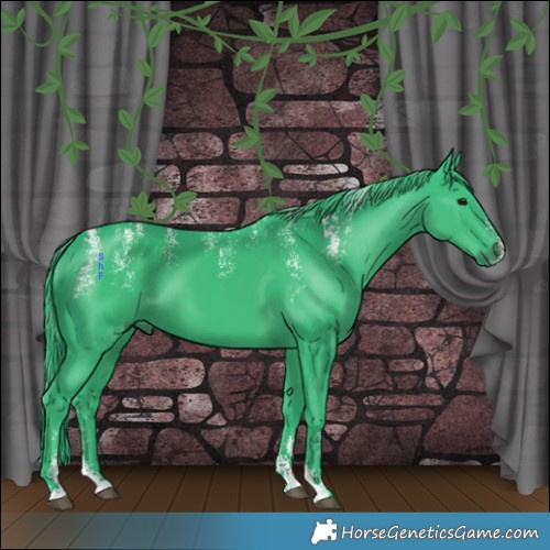Horse Color:Powder White Watercolor Smoky Black 
