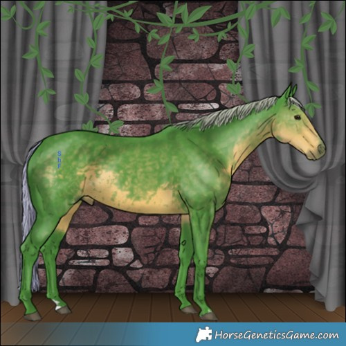 Horse Color:Watercolor Silver Smoky Black 