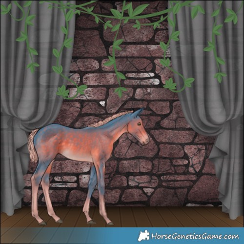 Horse Color:Watercolor Chocolate Palomino 