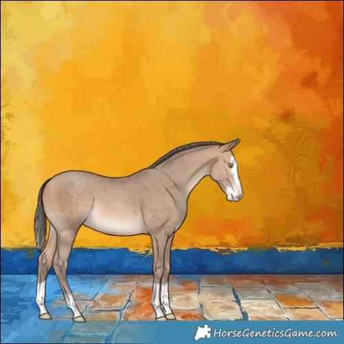 Horse Color:Amber Champagne Merle Splash 