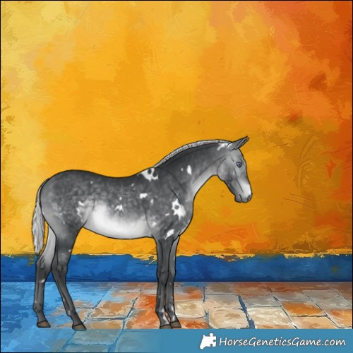 Horse Color:White Spotted Silver Brown Chinchilla 