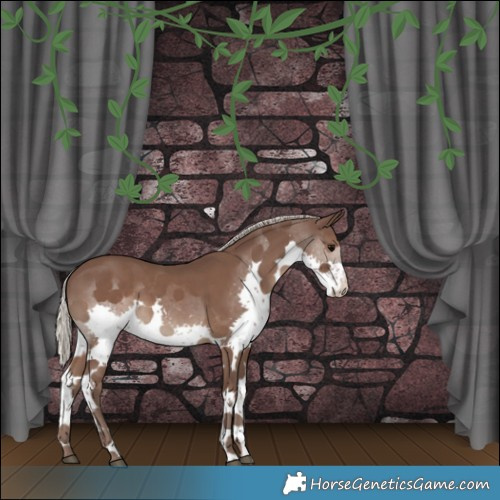Horse Color:Silver Black Splash Tobiano Rabicano 