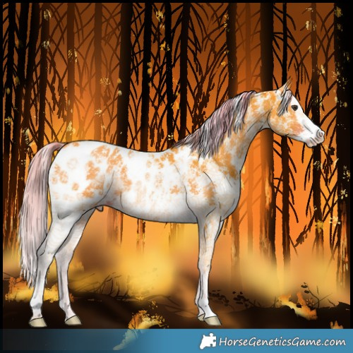 Horse Color:Watercolor Liver Chestnut Sabino Splash Blanket 