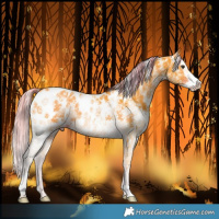 Horse Color:Watercolor Liver Chestnut Sabino Splash Blanket