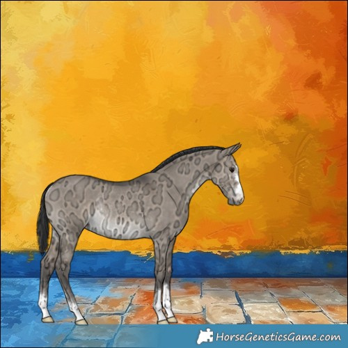 Horse Color:Brown Ice Dun Rabicano 