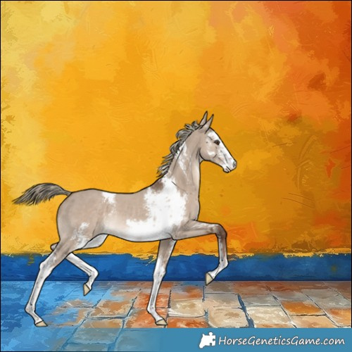 Horse Color:Liver Red Dun Mushroom Sabino Rabicano 