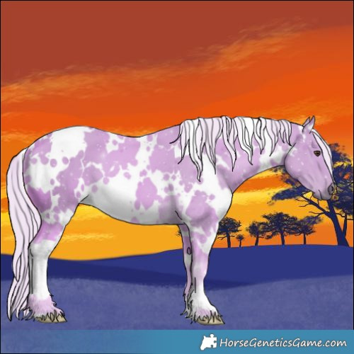 Horse Color:Watercolor White Spotted Palomino