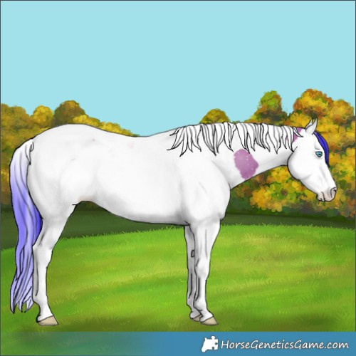 Horse Color:Watercolor Bay Splash Tobiano