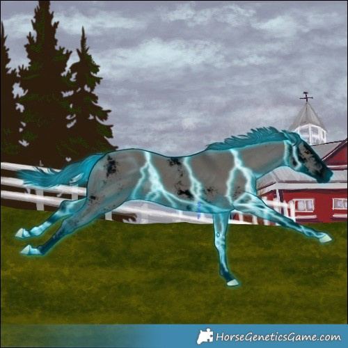 Horse Color:Void Thunderstruck Grullo Sabino Splash Rabicano 