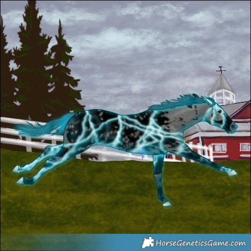 Horse Color:Void Thunderstruck White Spotted Grullo Sabino Splash Near Leopard Rabicano