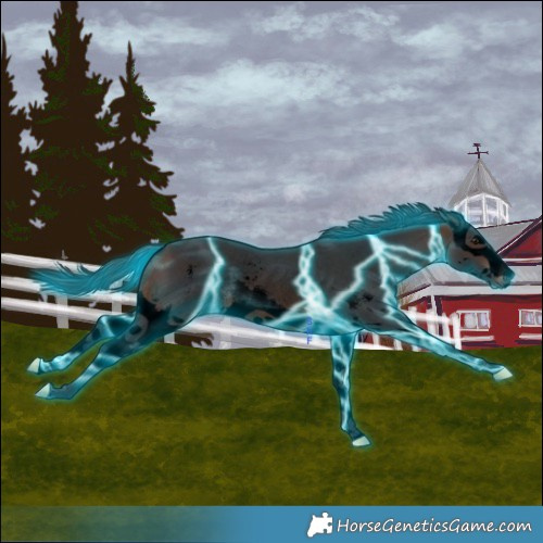 Horse Color:Void Thunderstruck Brown Sabino Splash Rabicano 