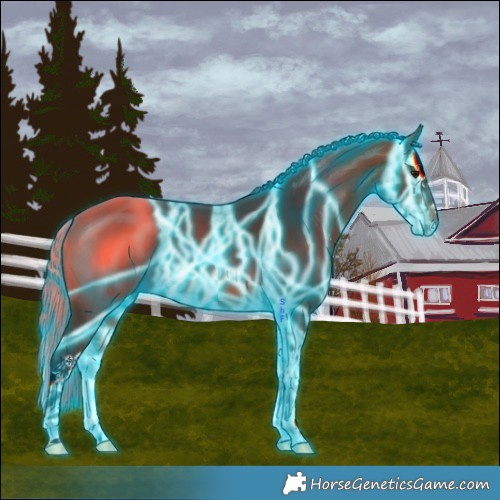 Horse Color:Thunderstruck Bay Sabino Splash