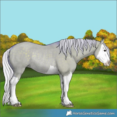 Horse Color:Watercolor Silver Grullo Splash Rabicano 