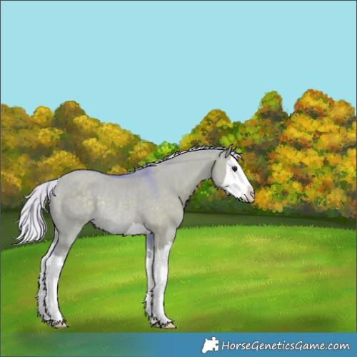 Horse Color:Watercolor Silver Grullo Splash Rabicano 