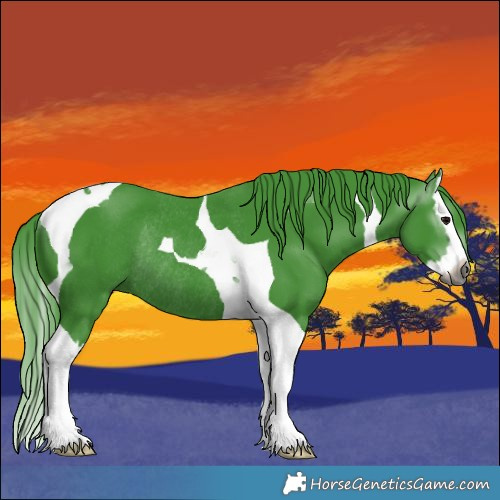 Horse Color:Gray Watercolor Black Splash Tobiano Rabicano 