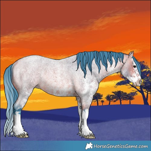 Horse Color:Watercolor White Spotted Bay Roan Splash Rabicano