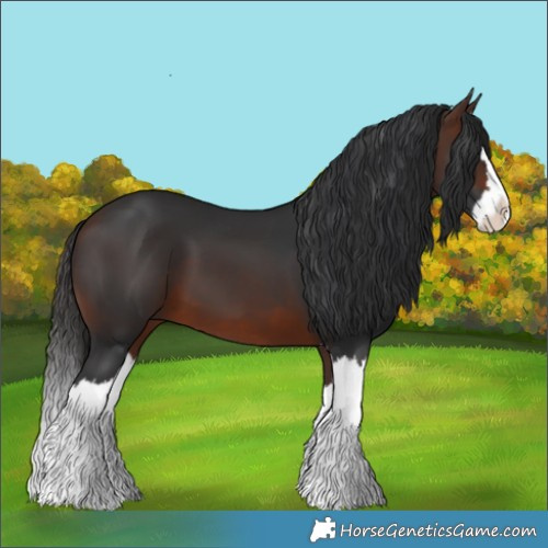 Horse Color:Brown Splash