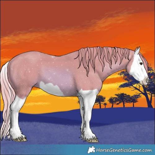 Horse Color:Watercolor Chestnut Splash