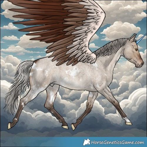 Horse Color:White Spotted Silver Brown Roan Dun 