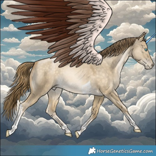 Horse Color:Buckskin Pearl Dun Tobiano 